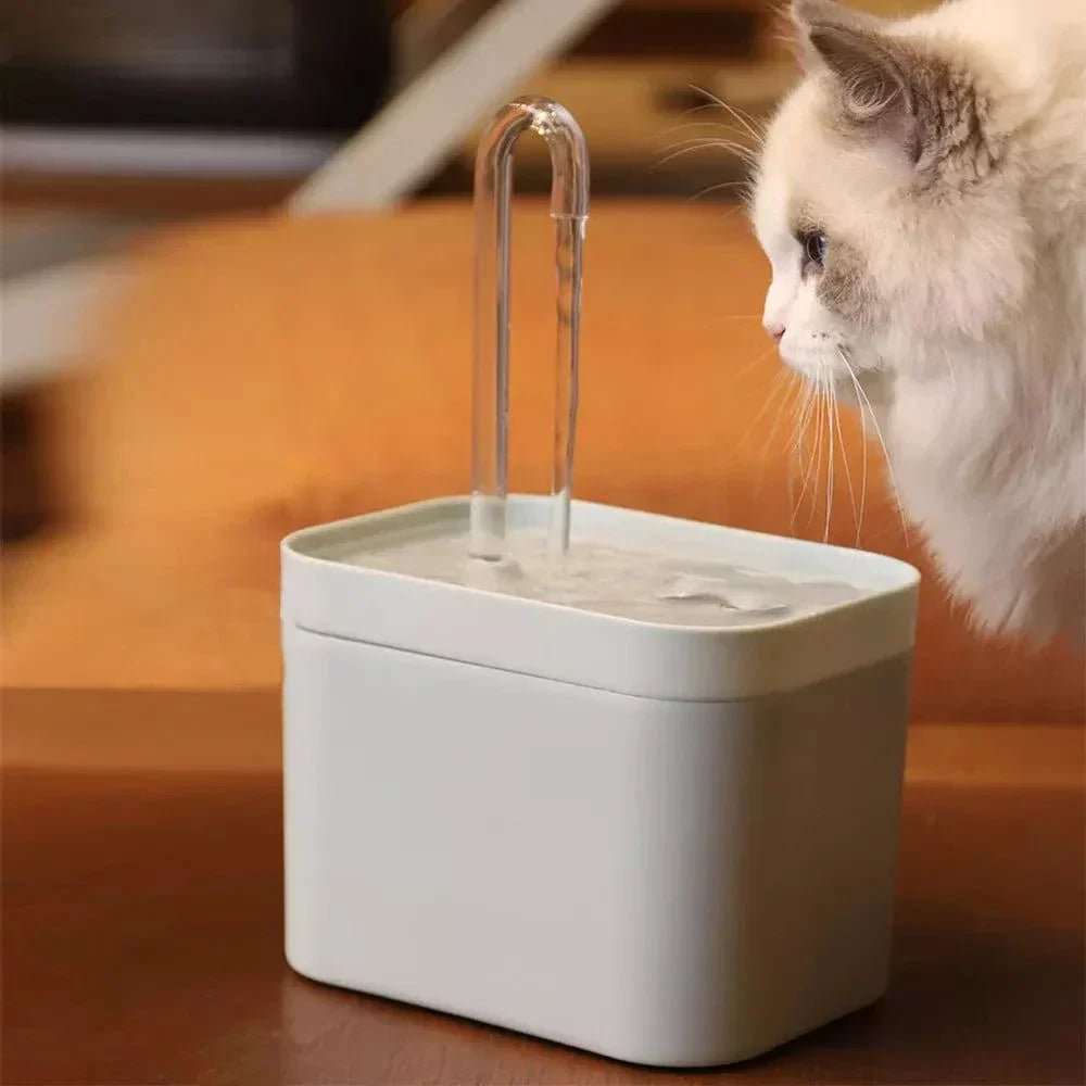BowLift | Ultra-quiet Pet Water Fountain with Intelligent Filtration - 1.5 l Stainless Steel