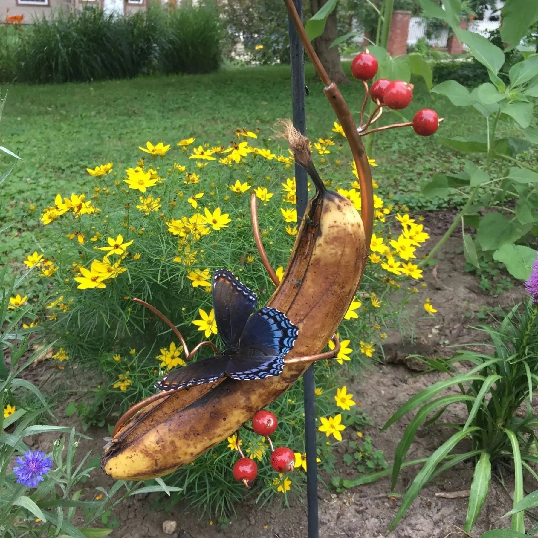 BowLift | Butterfly Banana Holder – Natural Attraction