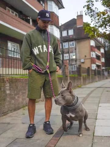 BowLift | Hands-free dog leash for jogging & walking