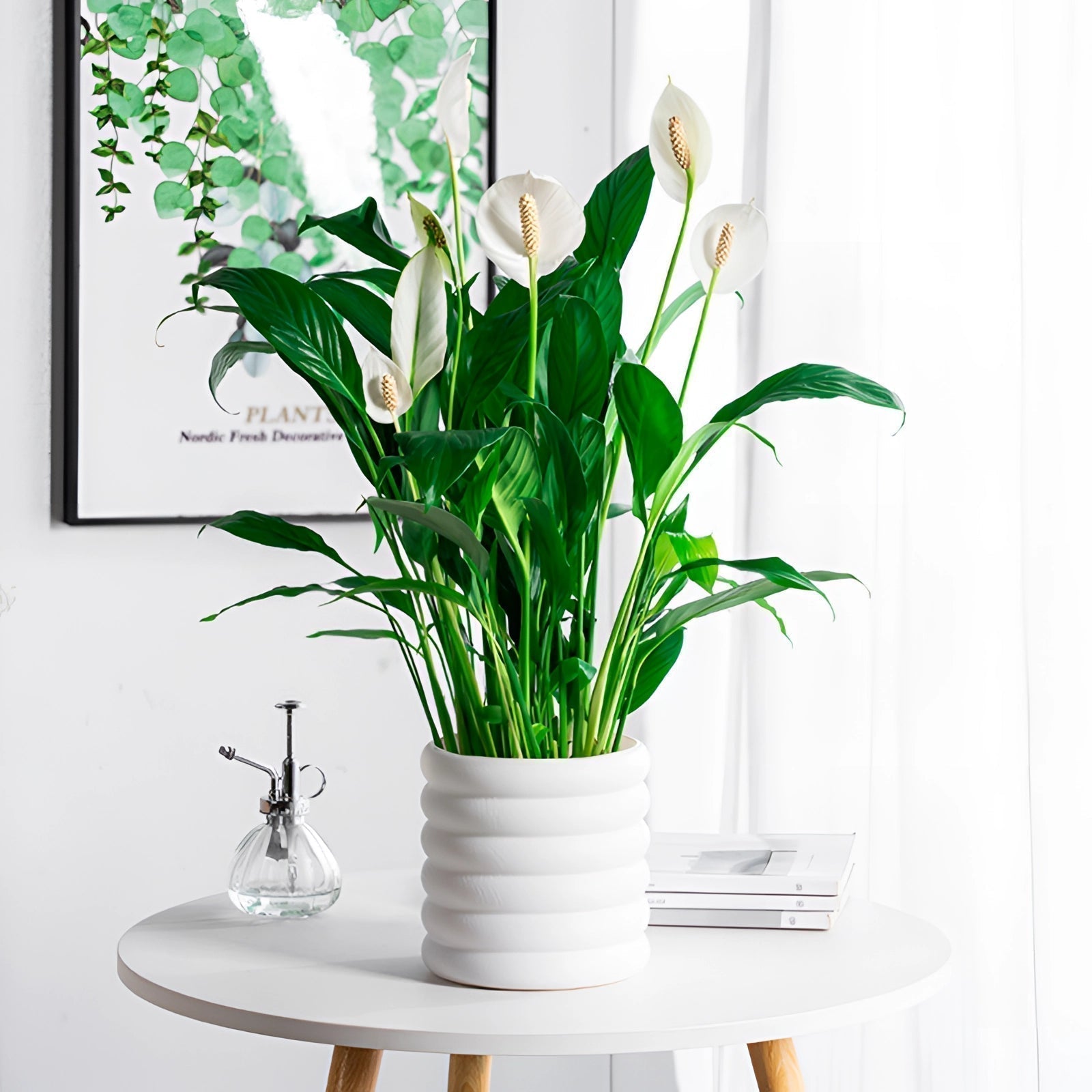 BowLift | PureLeaf – Stylish air-purifying houseplant for a fresh and elegant atmosphere