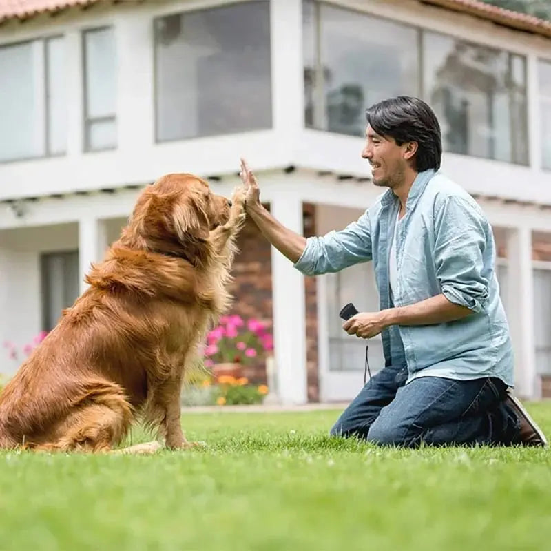 BowLift | Ultrasonic Anti-Bark Device – Gentle Training Device for Dogs without Pain