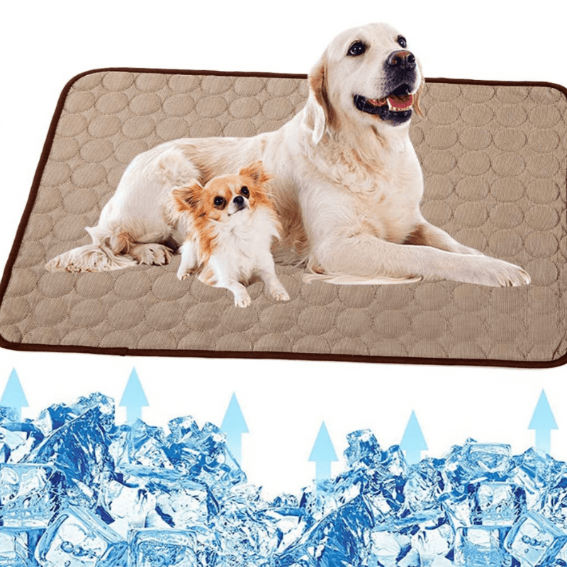 BowLift | Cooling dog mat for instant refreshment & comfort