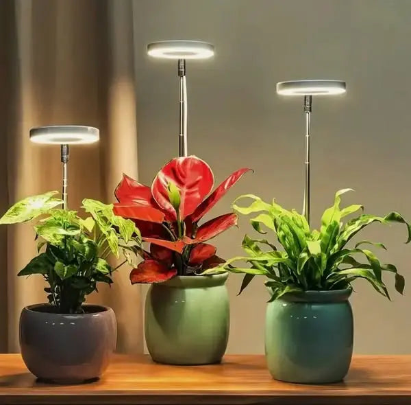 BowLift | Adjustable LED Plant Lamp – Optimal Light for Healthy Growth