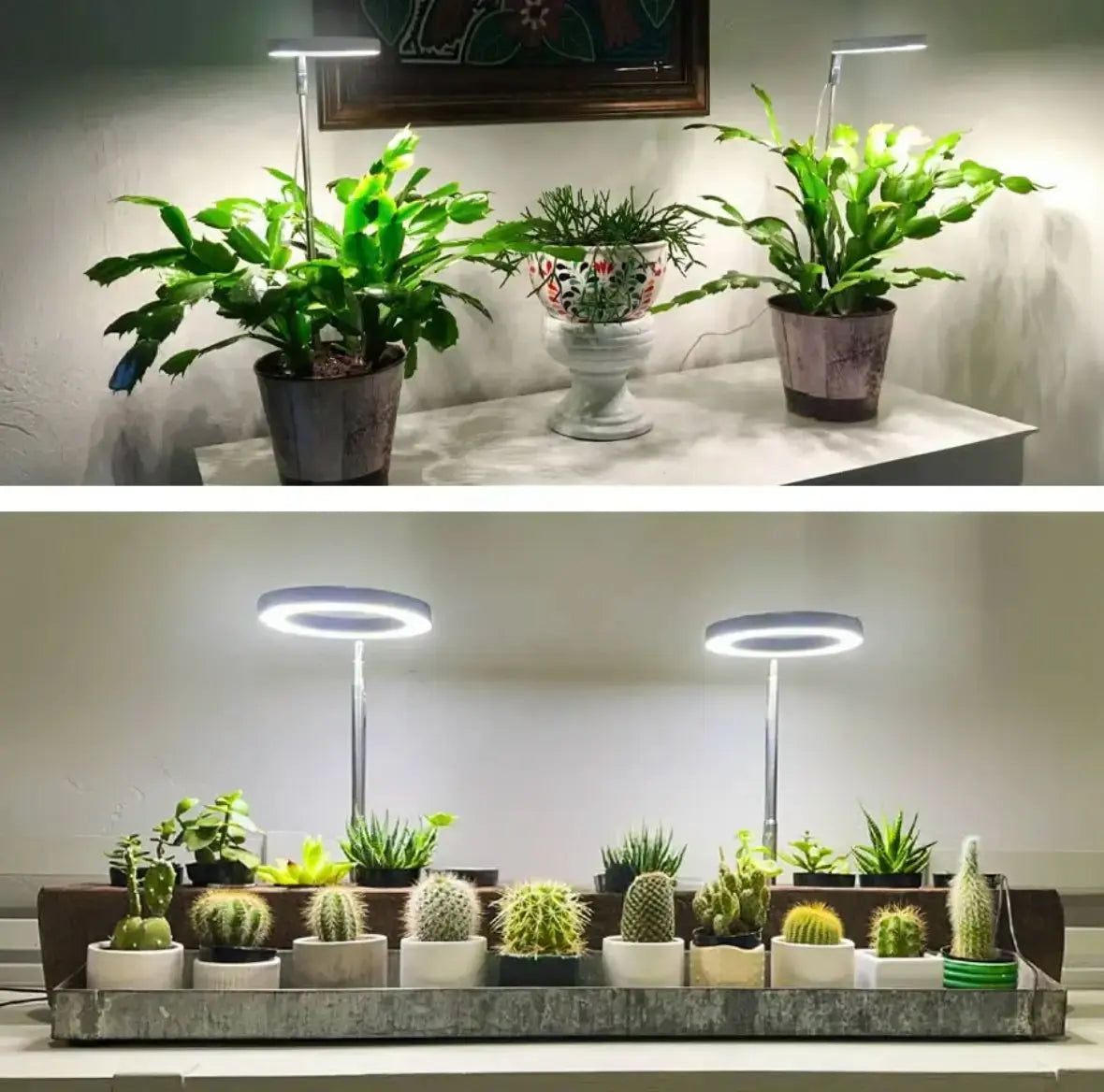 BowLift | Adjustable LED Plant Lamp – Optimal Light for Healthy Growth