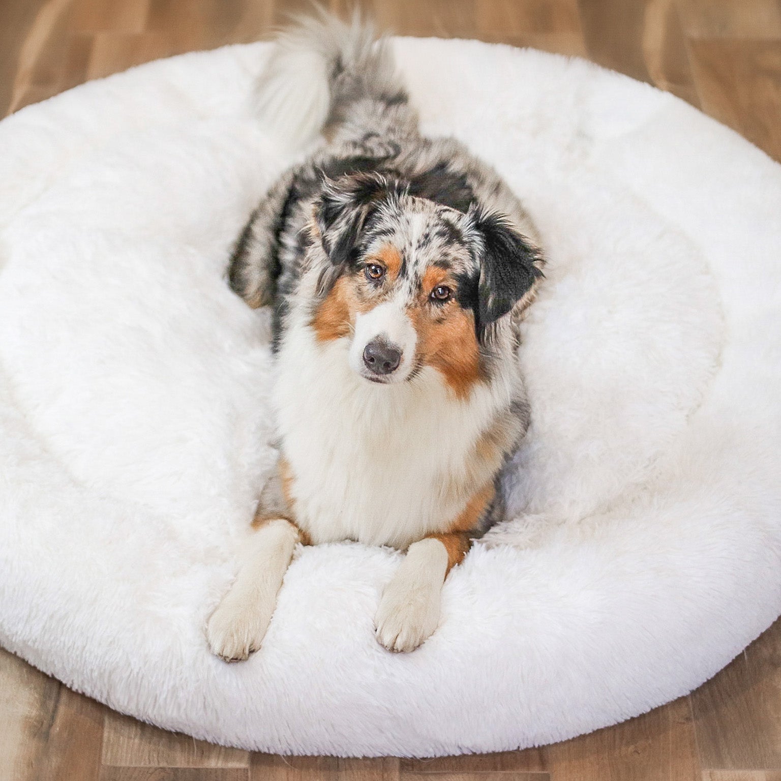 BowLift | FluffyNest Comfort Dog Bed – Orthopedic Plush Sleeping Cushion for Dogs