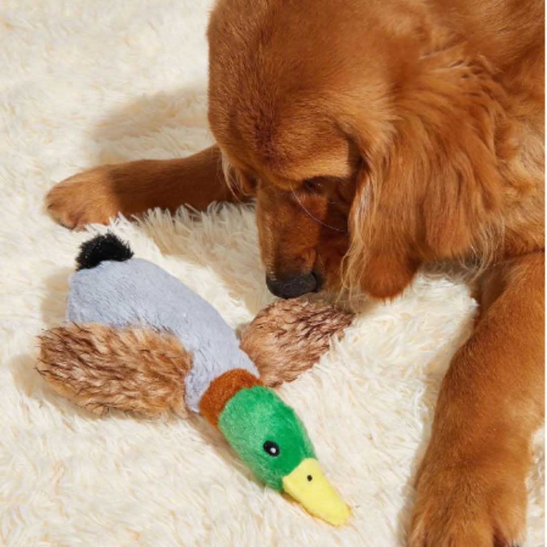 BowLift | CHEWDLE - Plush chew toy