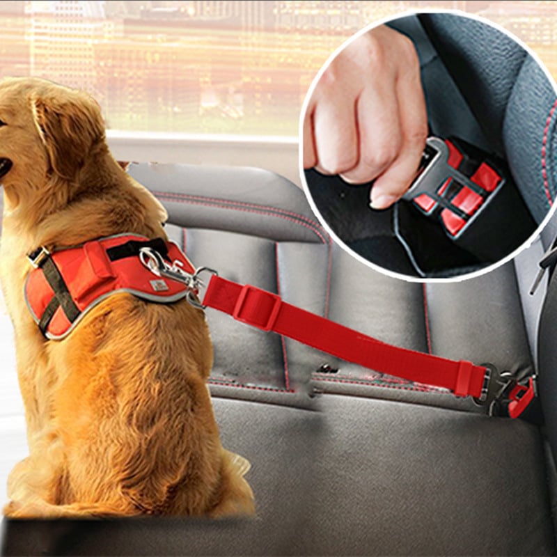 BowLift | Dog Car Safety Seat Belt