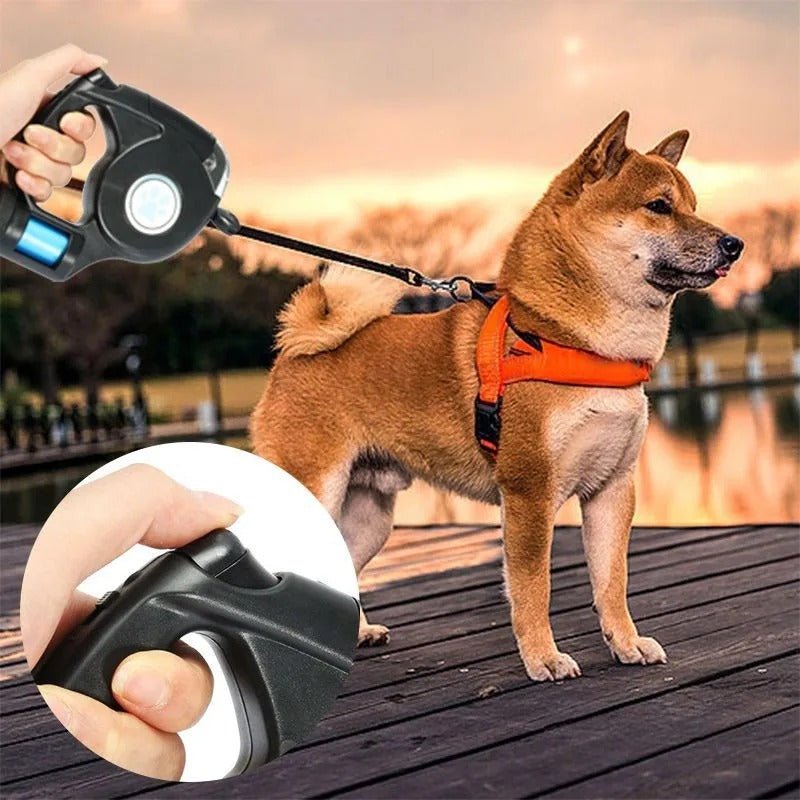 BowLift | AMÉLIE – LED Dog Leash with Integrated Flashlight