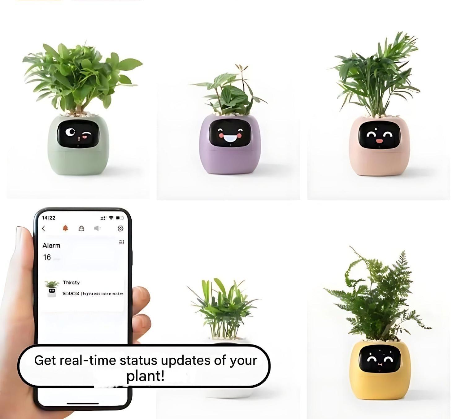 BowLift | Automatic Smart Flowerpot - GreenBuddy SmartPot