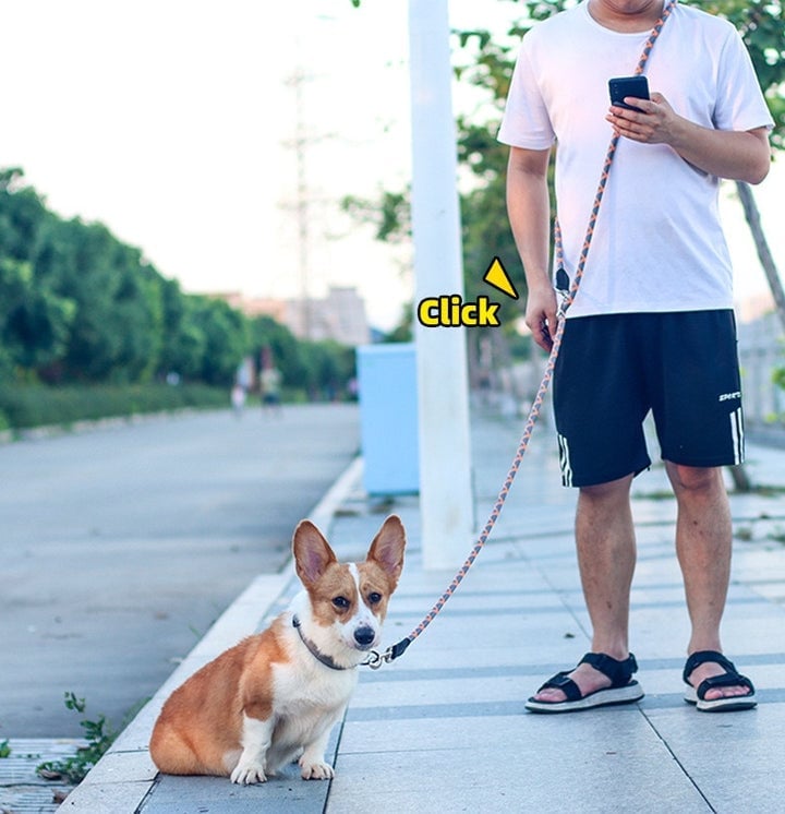 BowLift | Hands Free Dog Leashes