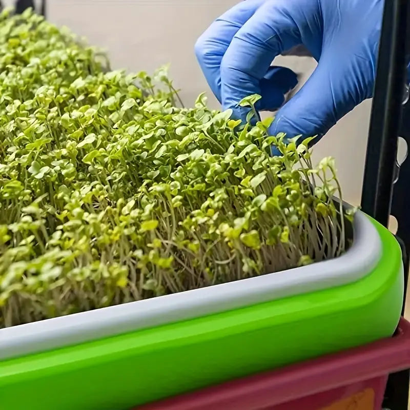 BowLift | Germination trays with lid – Double-layer seed sowing tray for effective seed germination