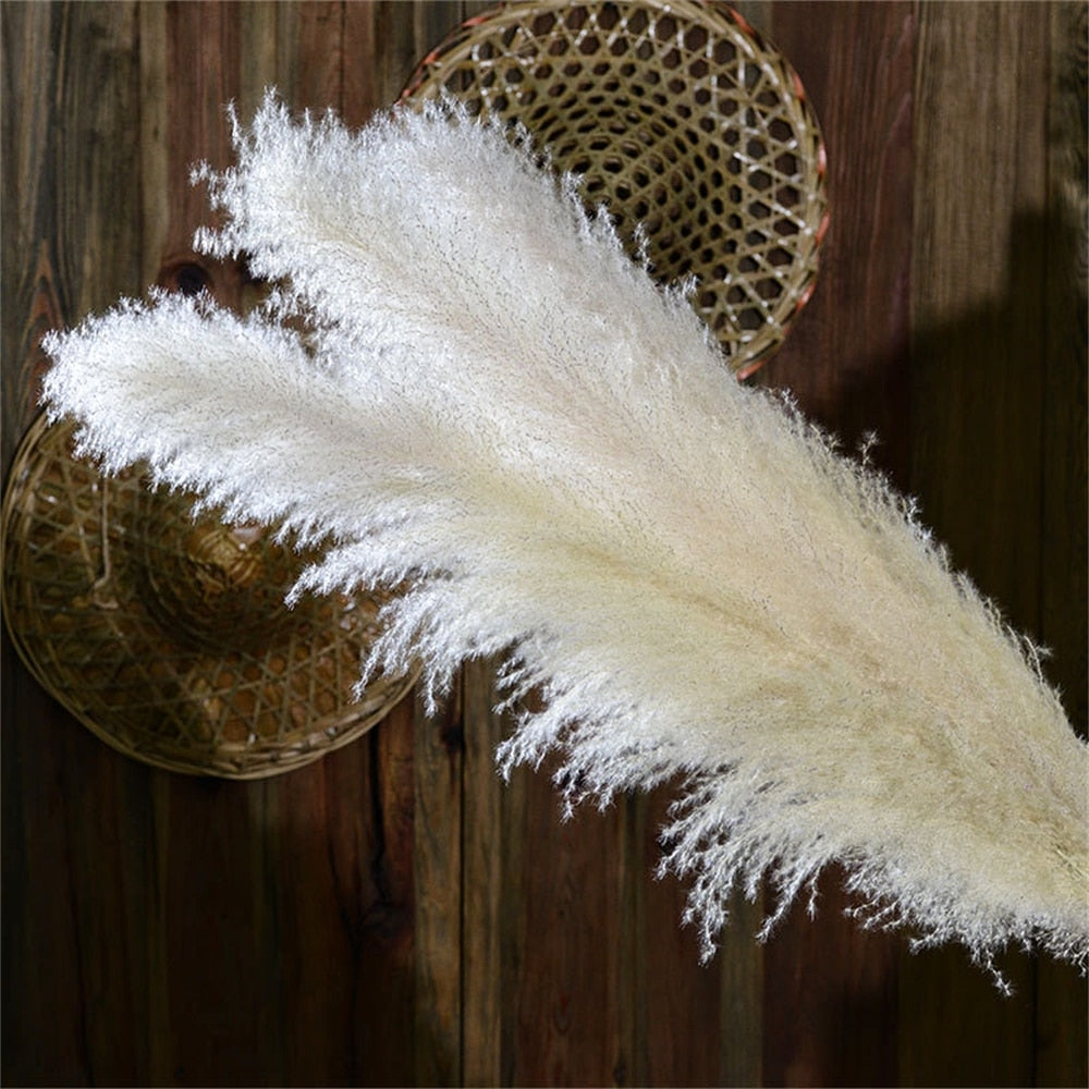 BowLift | FeatherFawn - Dried Pampas Flowers