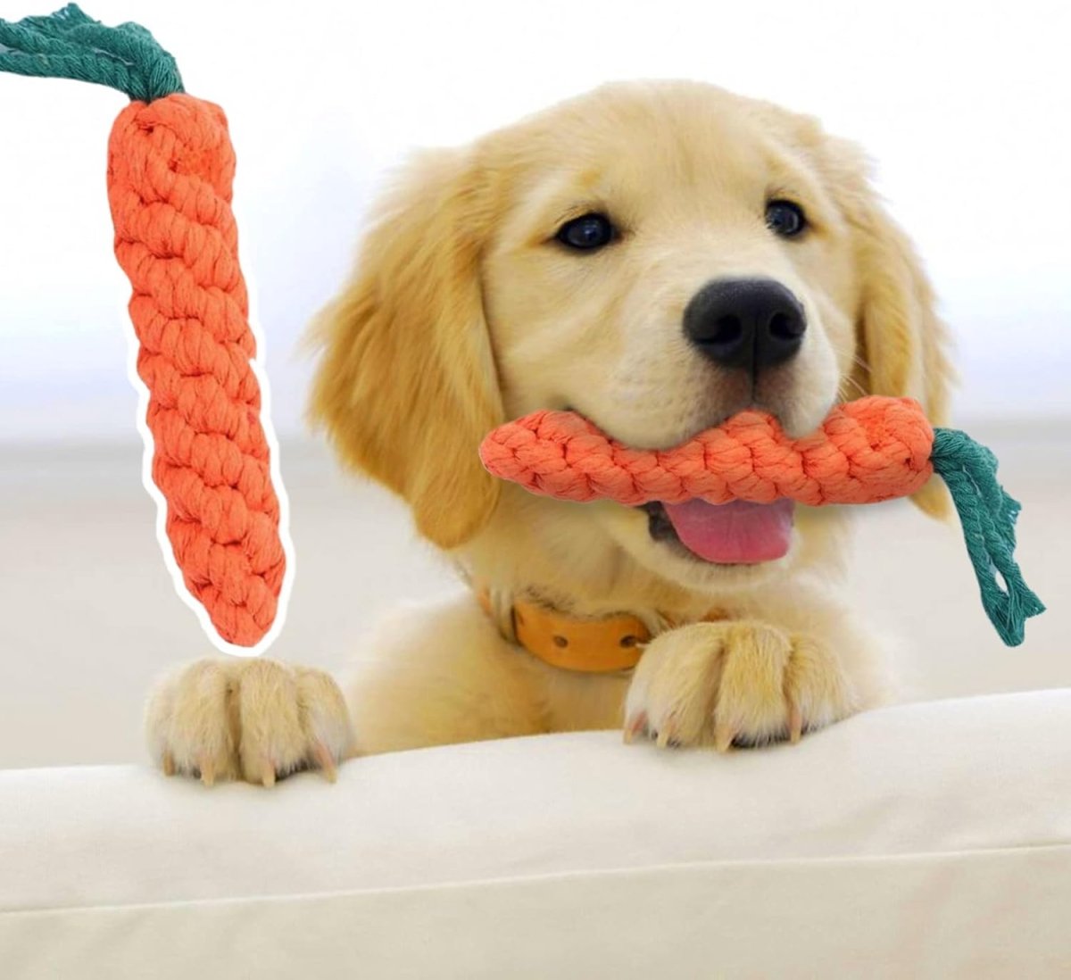 CarrotChew • Dog Chew Toy - Dog Chew Toy - BowLift