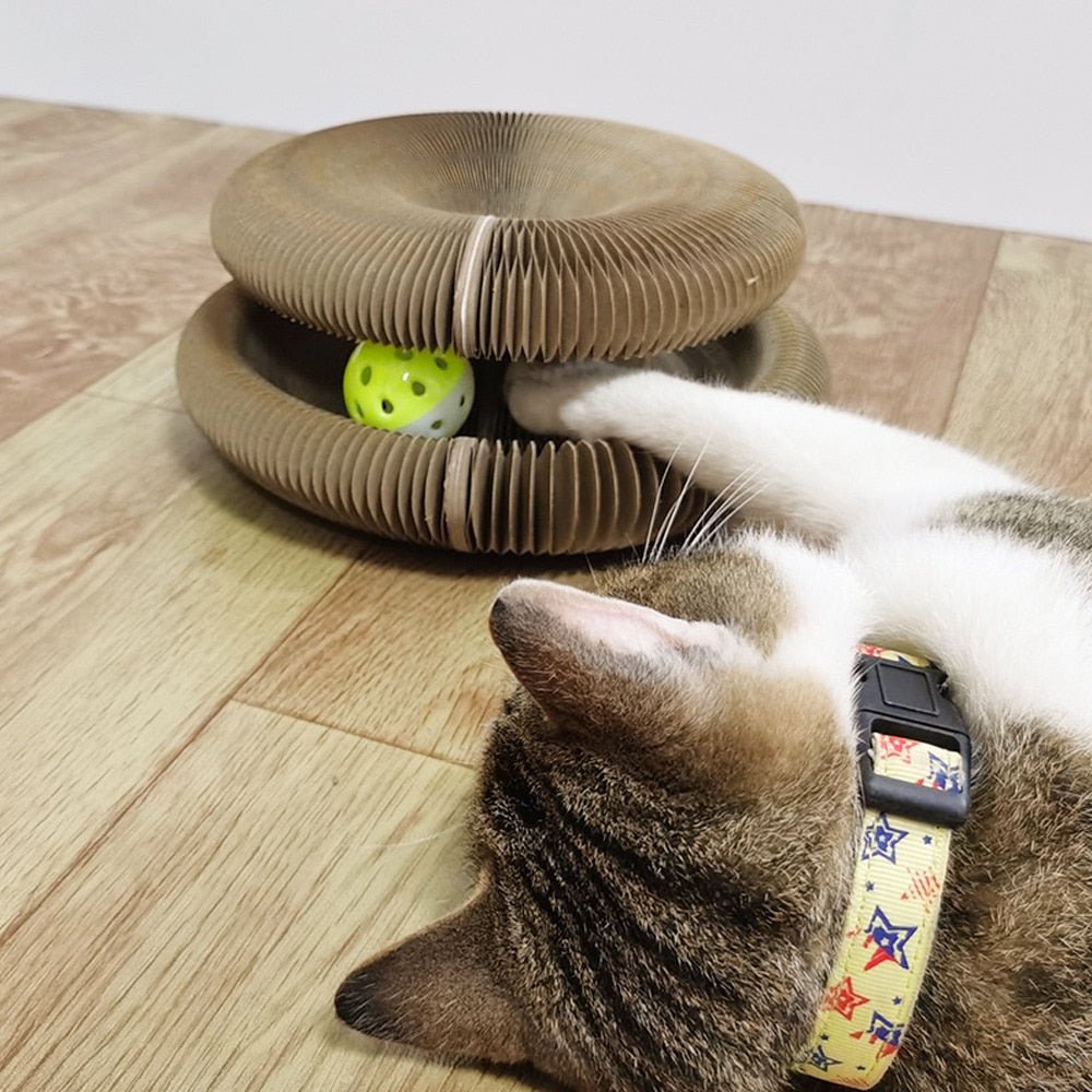 BowLift | Cats Scratching Board - PetCordion