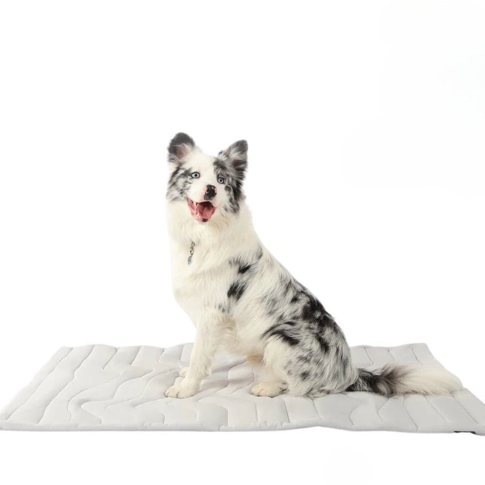 BowLift | CoolPaws Cooling Mat – Self-Cooling Dog Mat for Hot Summer Relief
