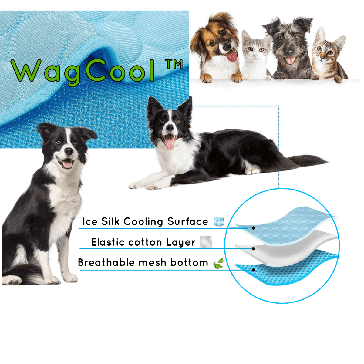 BowLift | COOLPET MAT – Pressure-Activated Cooling Dog Mat for Instant Comfort