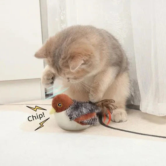 BowLift | Chirpy Cat Toy