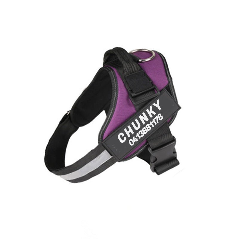 BowLift | Dogsafe Harness – Reflective, No-Pull Dog Harness with Personalizable Name Tag