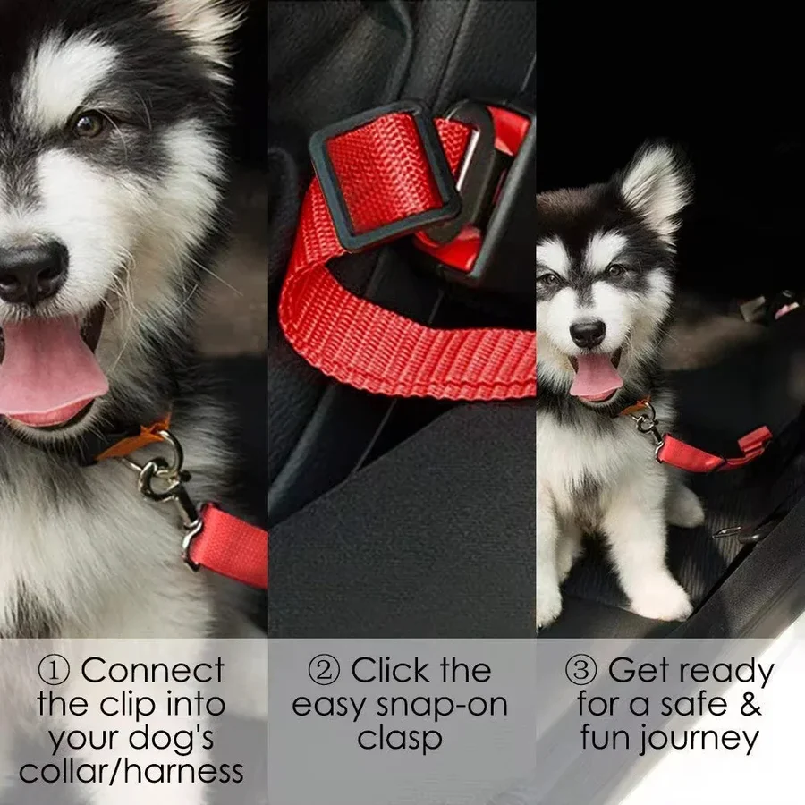 BowLift | Adjustable Dog Seat Belt