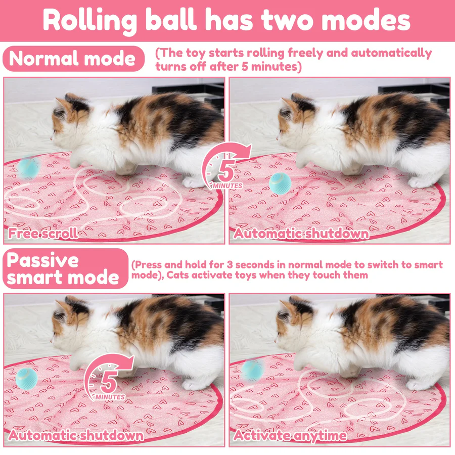 BowLift | Interactive Cat Hunting Toy with Smart Ball