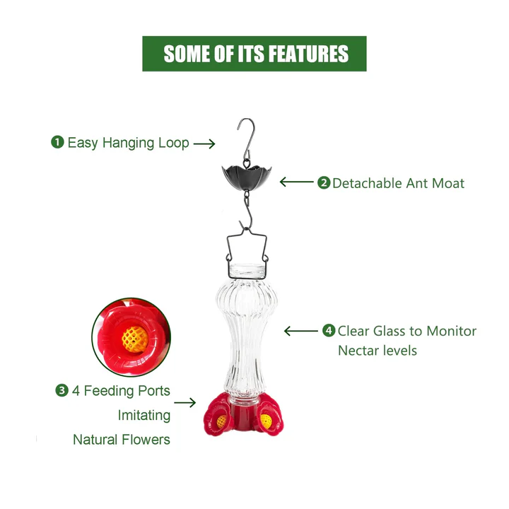 BowLift | Flowers Glass Hummingbird Feeder With Ant Moat
