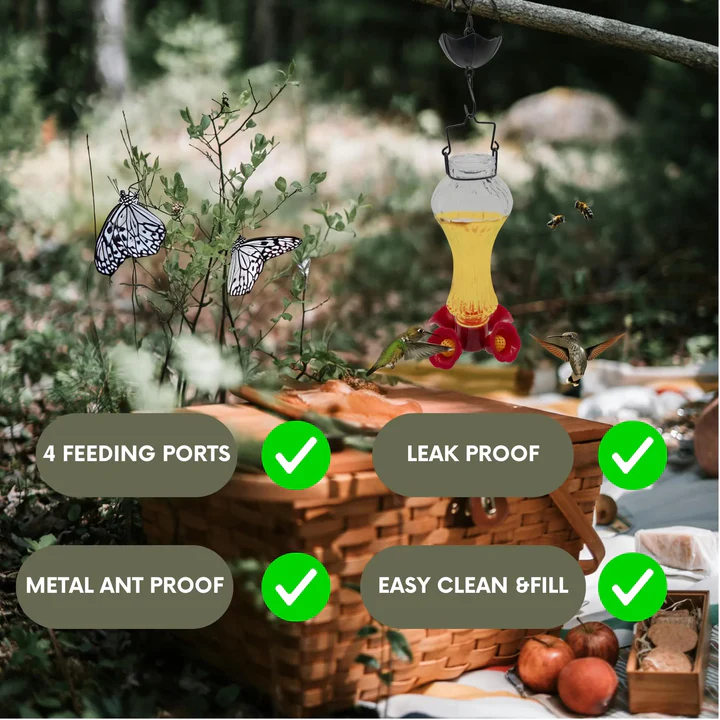 BowLift | Flowers Glass Hummingbird Feeder With Ant Moat