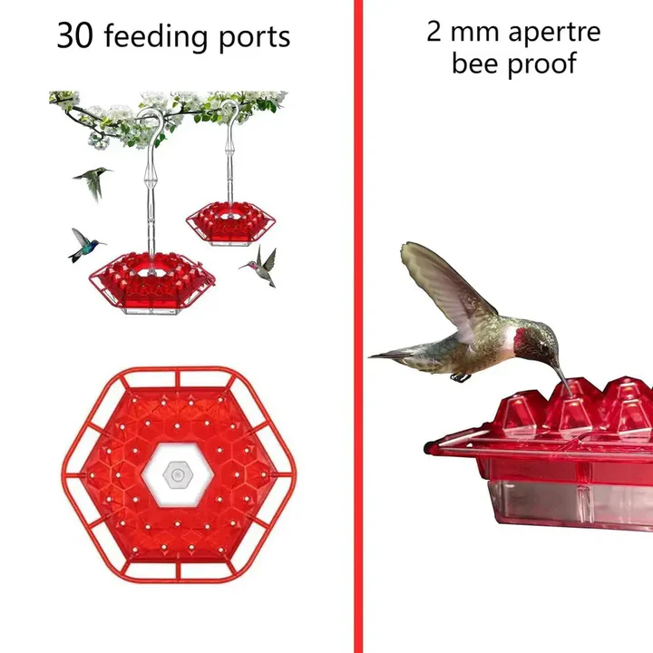 BowLift | Ant Proof Hummingbird Feeder, Outdoor Hanging Perch