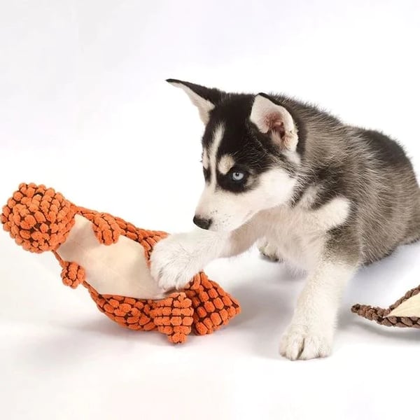 BowLift | Dog Chew Toy Plush Durable Design