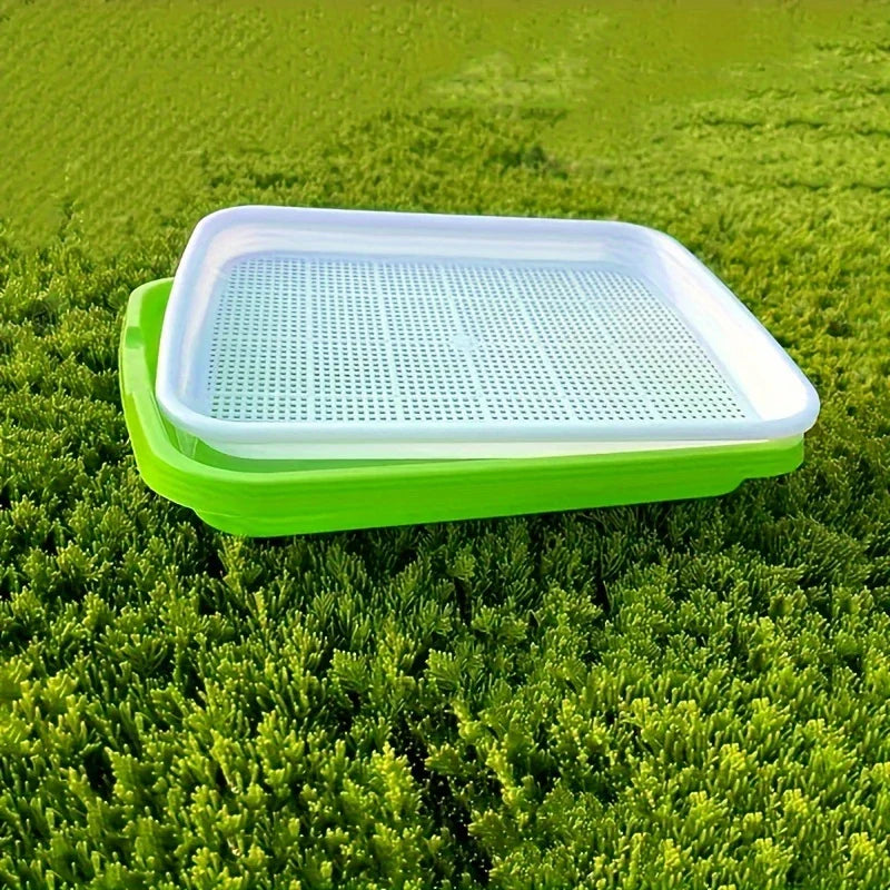 BowLift | Germination trays with lid – Double-layer seed sowing tray for effective seed germination