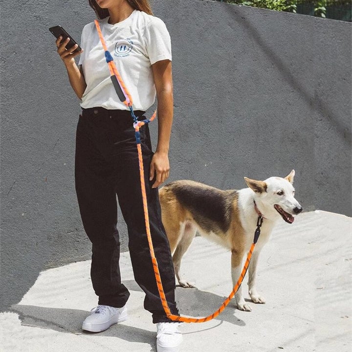 BowLift | Hands Free Dog Leashes