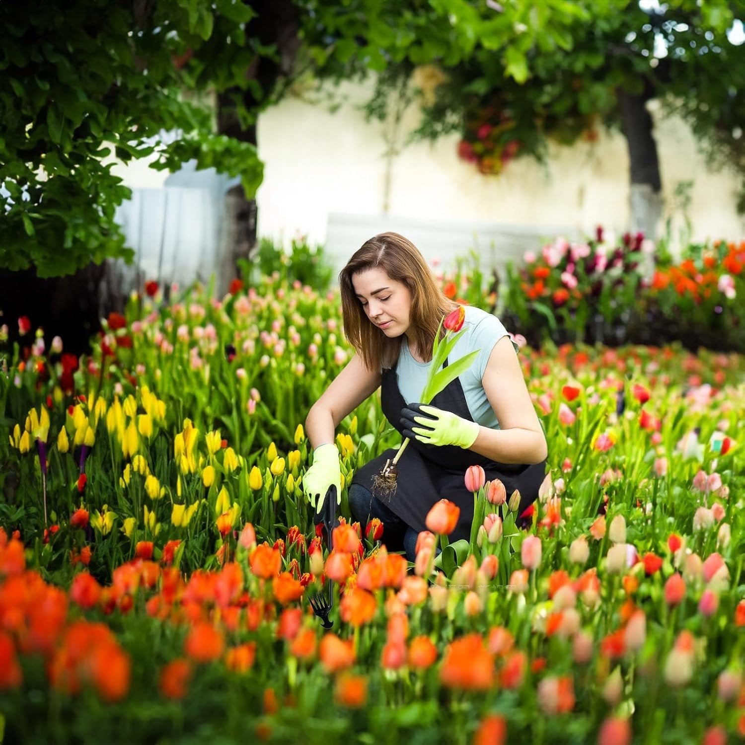 BowLift | Garden Weed Pulling Tool
