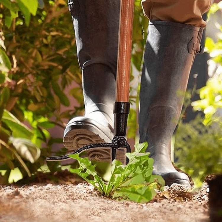 BowLift | Heavy-Duty Weed Grabber | Durable Steel Tip for Easy Root Removal in All Soil Types