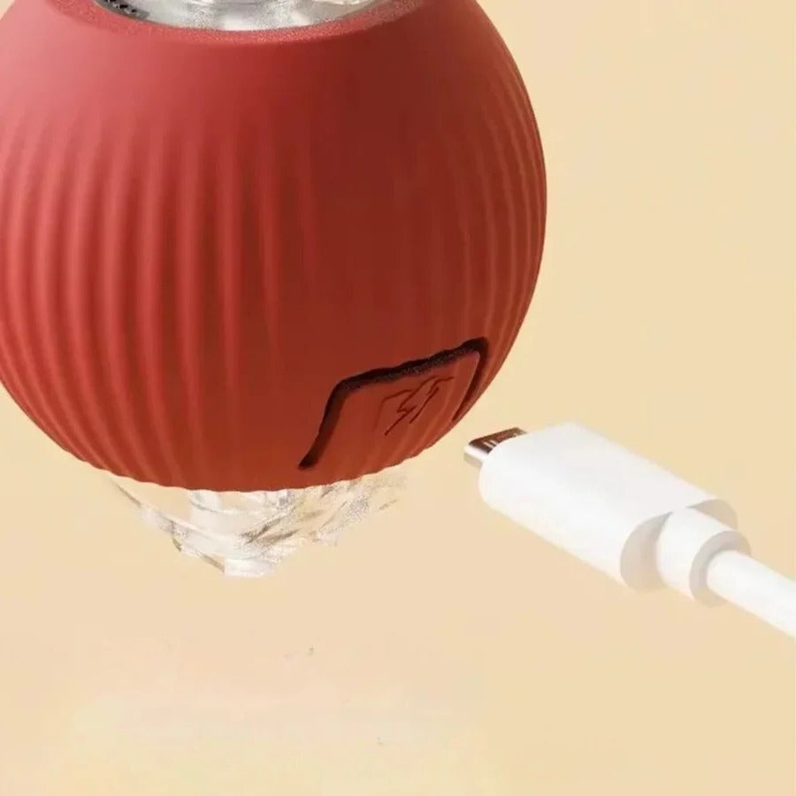 BowLift | Active Rolling Ball with Tail for Dogs