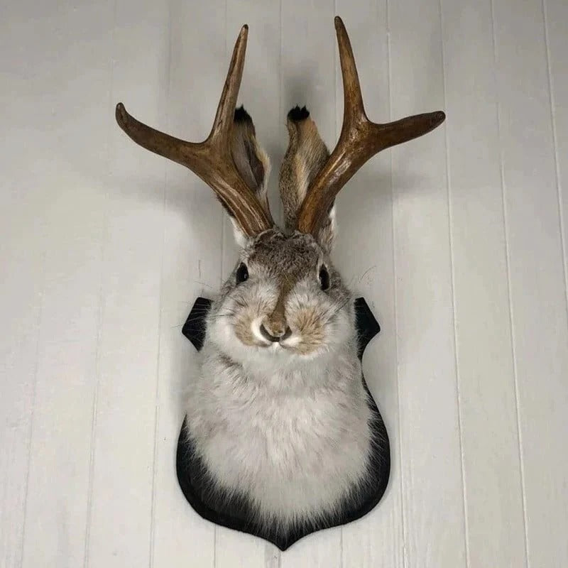 BowLift | Jackalope Wall Decor