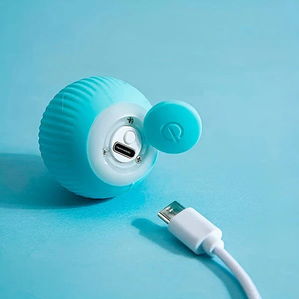 BowLift | Interactive Pet Ball, Rolls Automatically