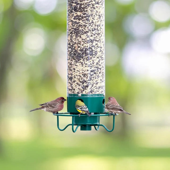 BowLift | Durable Metal Bird Feeder with Cage Design to Deter Squirrels