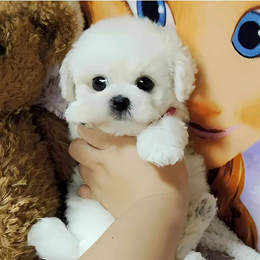 BowLift | Cuddle Cushion Lifelike Plush Puppy Toy