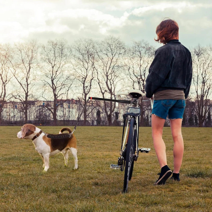 BowLift | Bike Dog Tow Leash