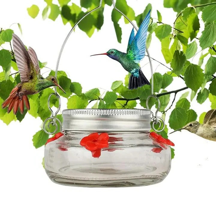 BowLift | Clear Flower Port Hummingbird Feeder