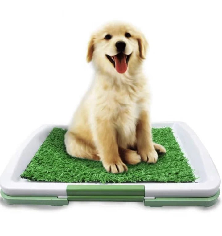 BowLift | Dog Toilet with Artificial Turf