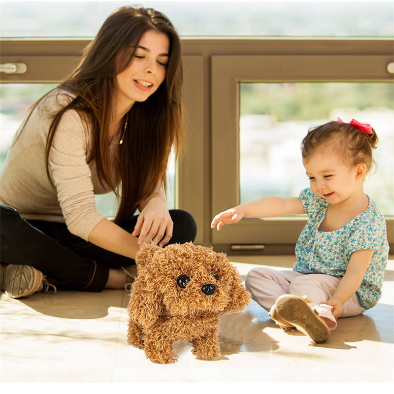 BowLift | Interactive Simulation Toy