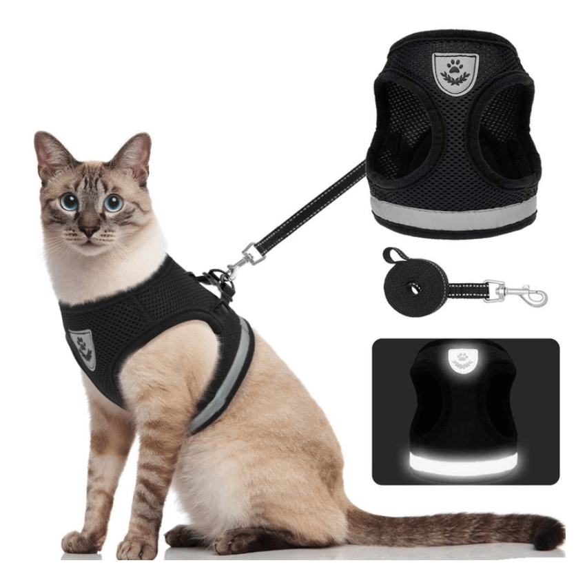 BowLift | ADVENTURE HARNESS – Escape-proof cat harness with leash & reflective elements