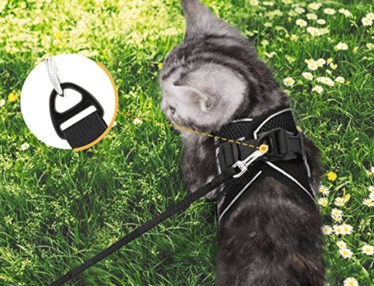 BowLift | ADVENTURE HARNESS – Escape-proof cat harness with leash & reflective elements