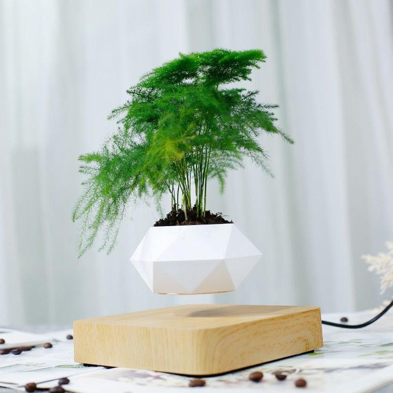 BowLift | Floating Air Bonsai Pot