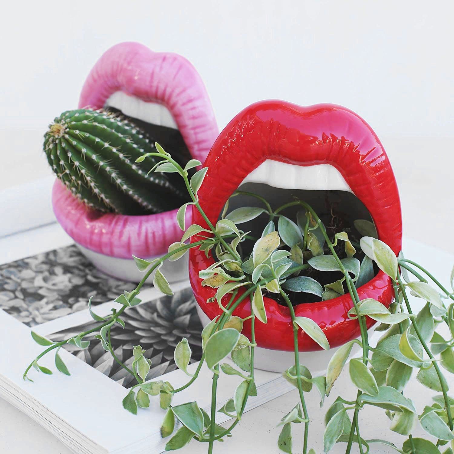 BowLift | Lips Flower Pot