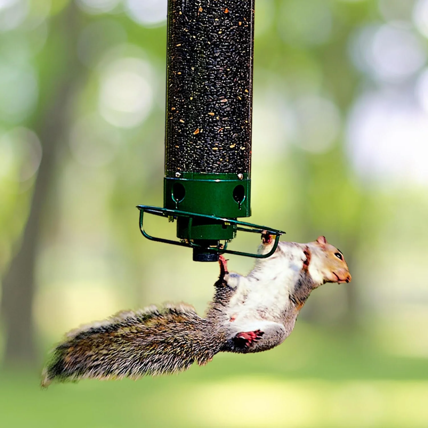 BowLift | Bird Feeder Metal Hanging Squirrel Proof Design