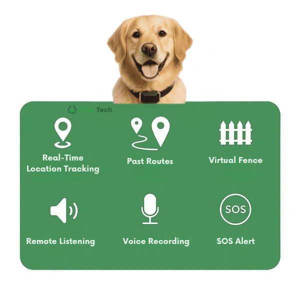 BowLift | GPS Dog Collar | Waterproof, Adjustable & Unlimited Range for Real-Time Tracking