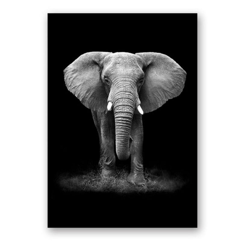 BowLift | Nature Wild Animals Africa Wildlife Black White - Canvas Wall Art Painting