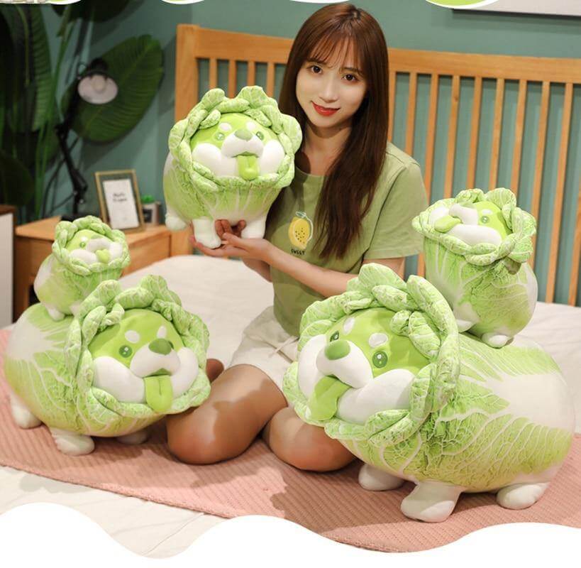 BowLift | Cute Vegetable Cabbage Stuffed Dog  Pillow