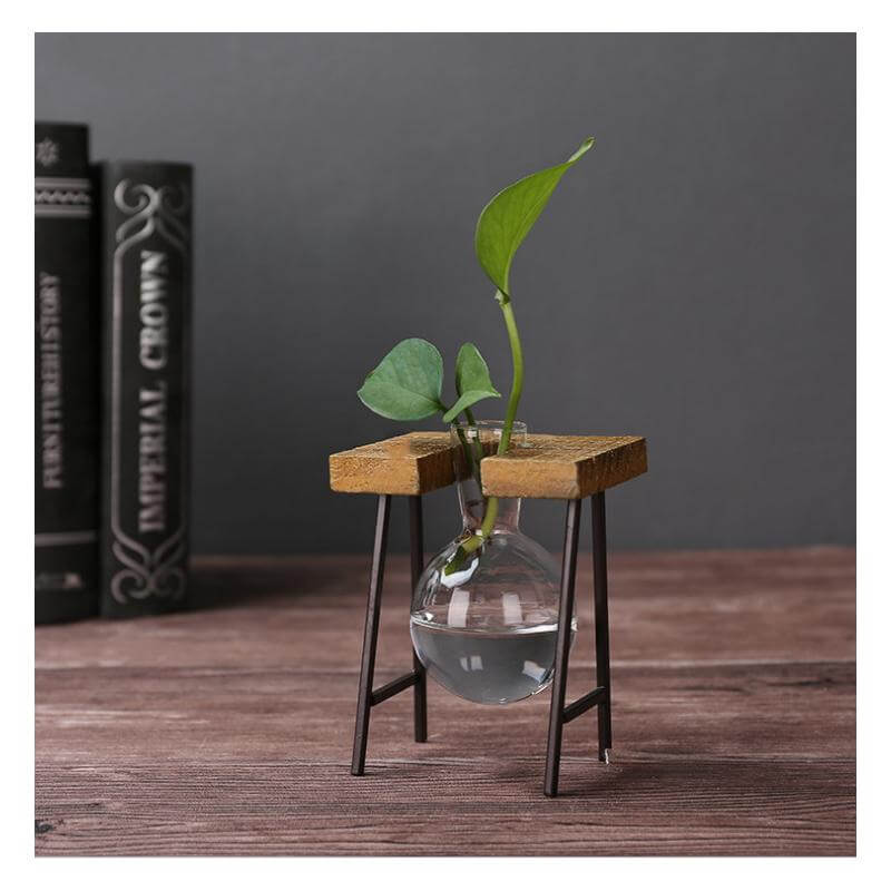 BowLift | Creative Home Decoration Hydroponic With Iron Feet Plant Vase